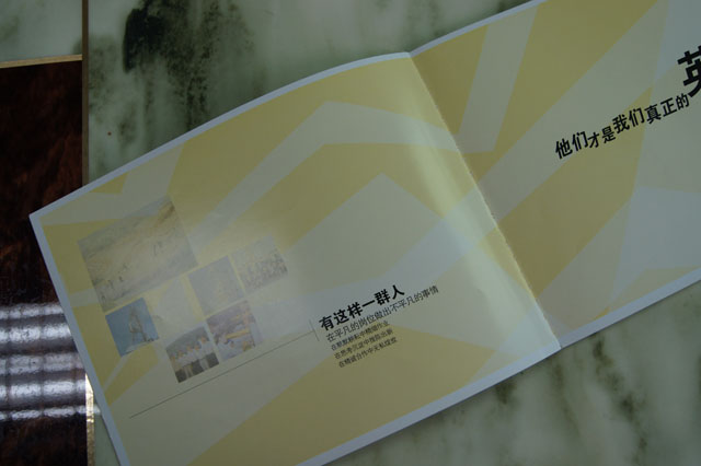 度假村20周年刊宣傳畫(huà)冊(cè)