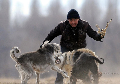 點(diǎn)擊瀏覽下一頁