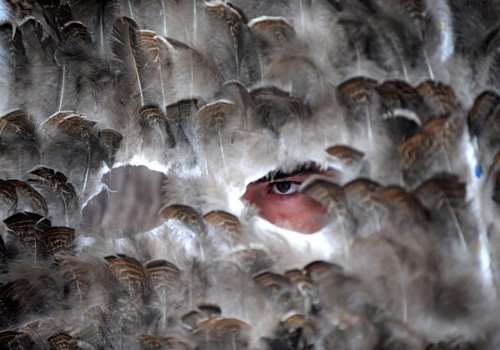 點擊瀏覽下一頁