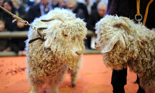 點(diǎn)擊瀏覽下一頁(yè)