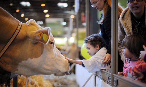 點(diǎn)擊瀏覽下一頁(yè)