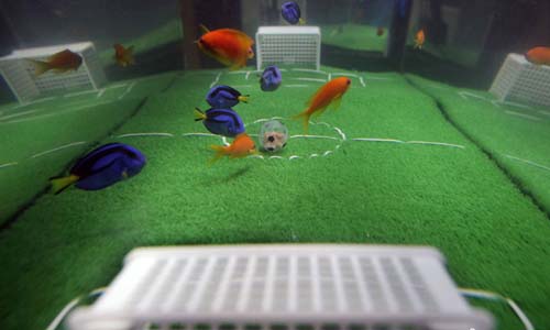 點(diǎn)擊瀏覽下一頁