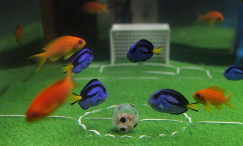 點(diǎn)擊瀏覽下一頁