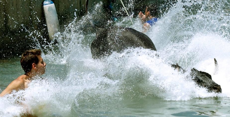 點(diǎn)擊瀏覽下一頁