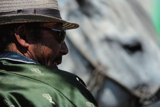 點(diǎn)擊瀏覽下一頁