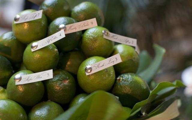 巧思妙想：非常有趣的一個擺放提示卡的方法：黛比將客人的姓名和桌號插到了新鮮的萊姆果上；?