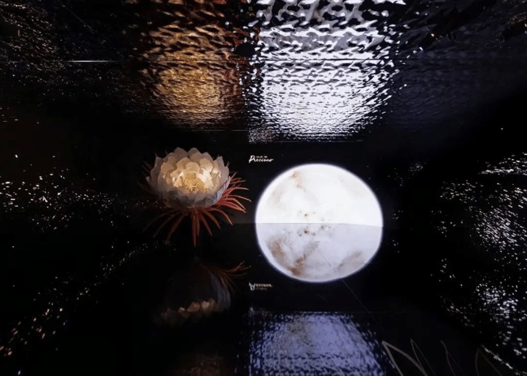 「凝時(shí)之境」嬌韻詩至臻凝時(shí)系列限時(shí)體驗(yàn)展